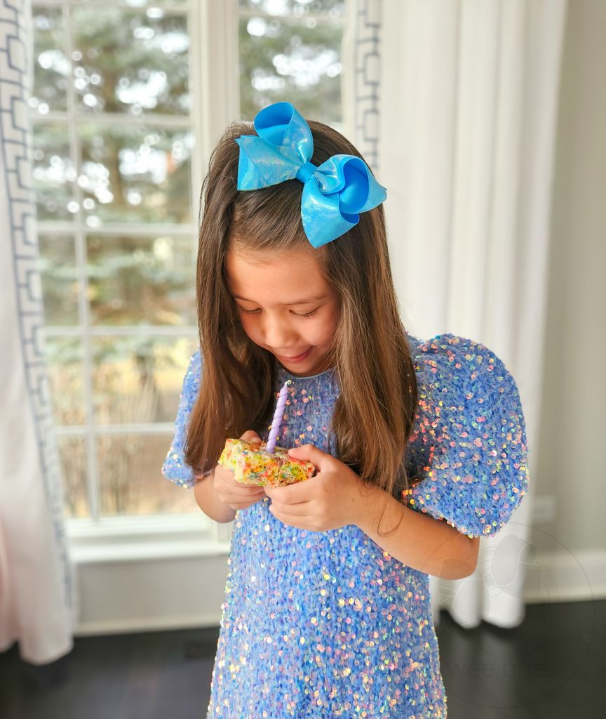 Medium Sheer Iridescent and Grosgrain Overlay Hair Bow