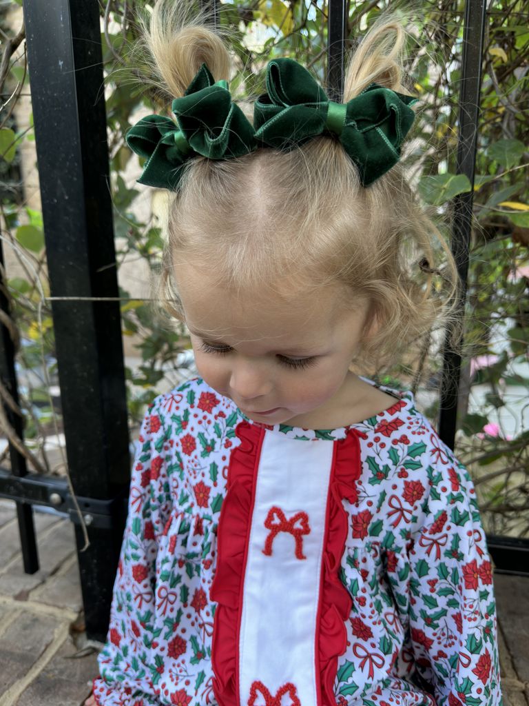 Small Classic Velvet Bow