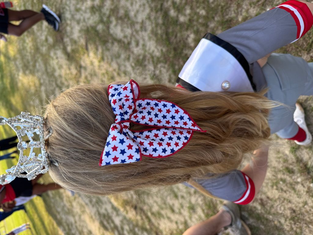 Medium Americana Stars Printed Bowtie with Twisted Wrap and Whimsy Tails


