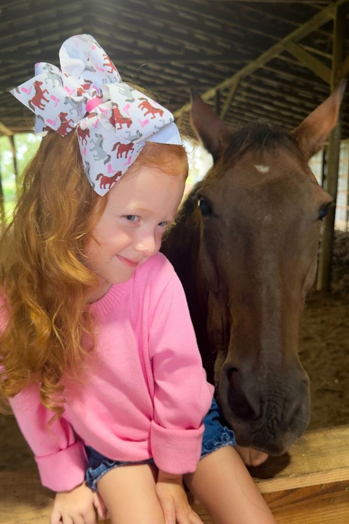 King Farm-themed Grograin Horse Print Hair Bow

