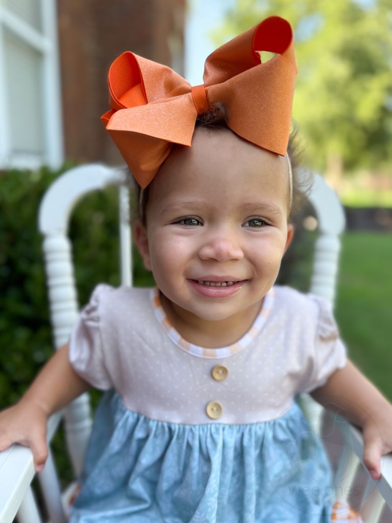 King Shimmer Fabric with Grosgrain Underlay Hair Bow
