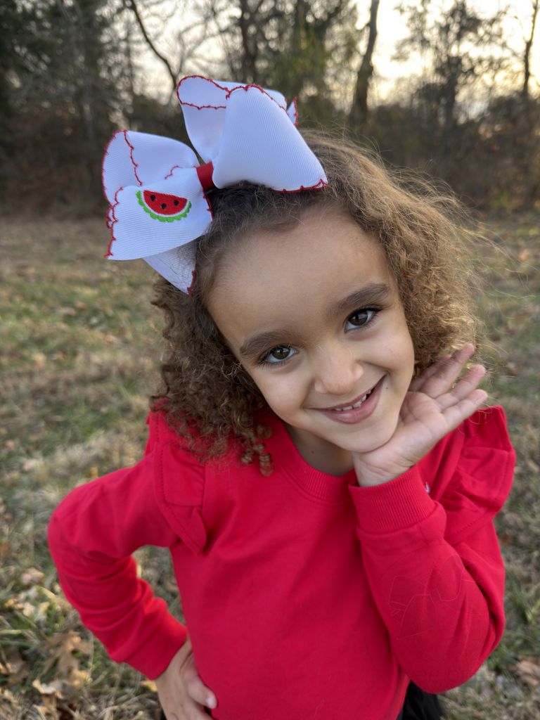King Watermelon Embroidered Moonstitch Edge Hair Bow