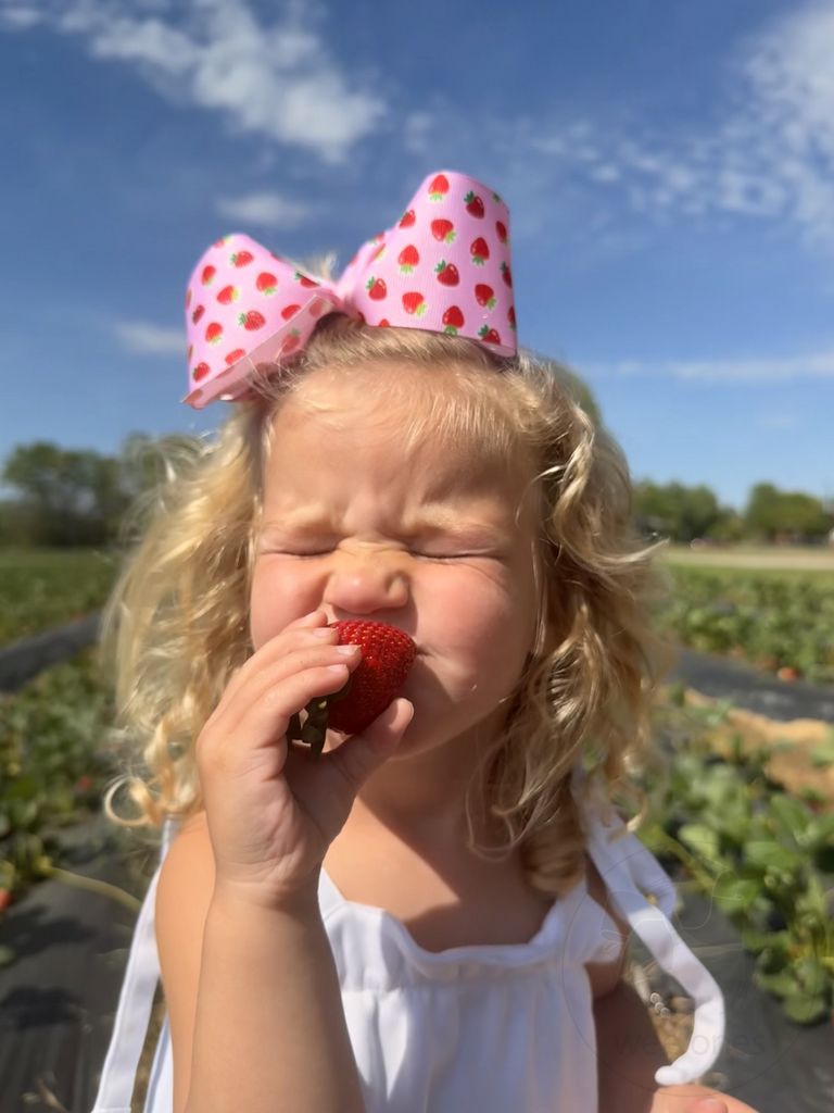 King Sweet Treats Strawberry Print Grosgrain Hair Bow