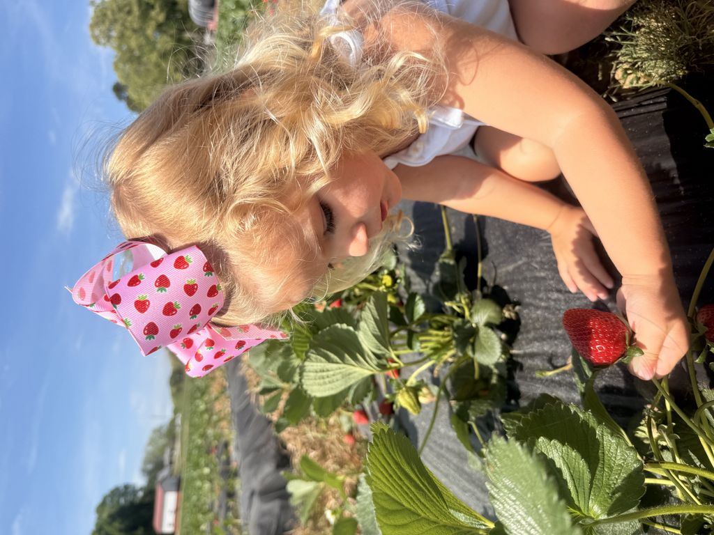 King Sweet Treats Strawberry Print Grosgrain Hair Bow