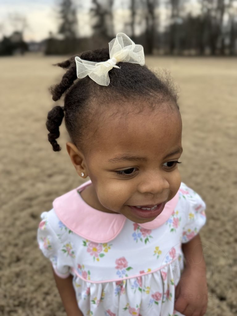 Mini Classic Organza Single Hair Bow