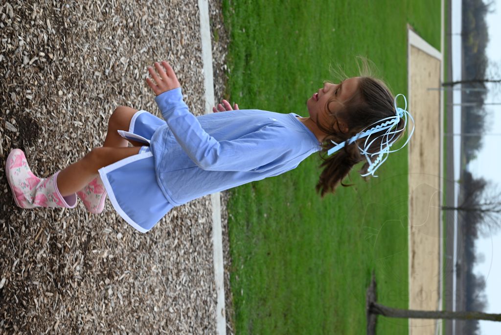 Grosgrain and Ric-Rac Ribbon Streamer Hair Clip