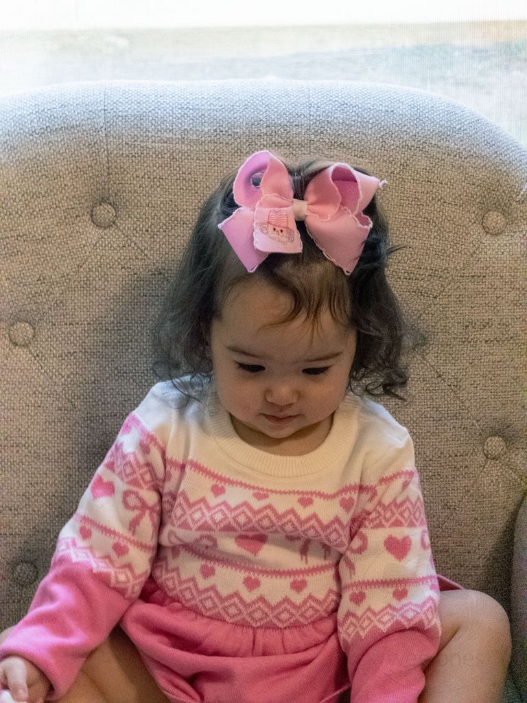 Medium Moonstitch Pink Nutcracker Embroidery Hair Bow