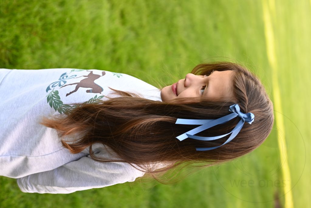 Tiny Satin Double Loop Streamer Bow