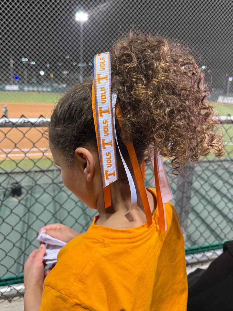 Collegiate Signature Logo Print Streamer Pony