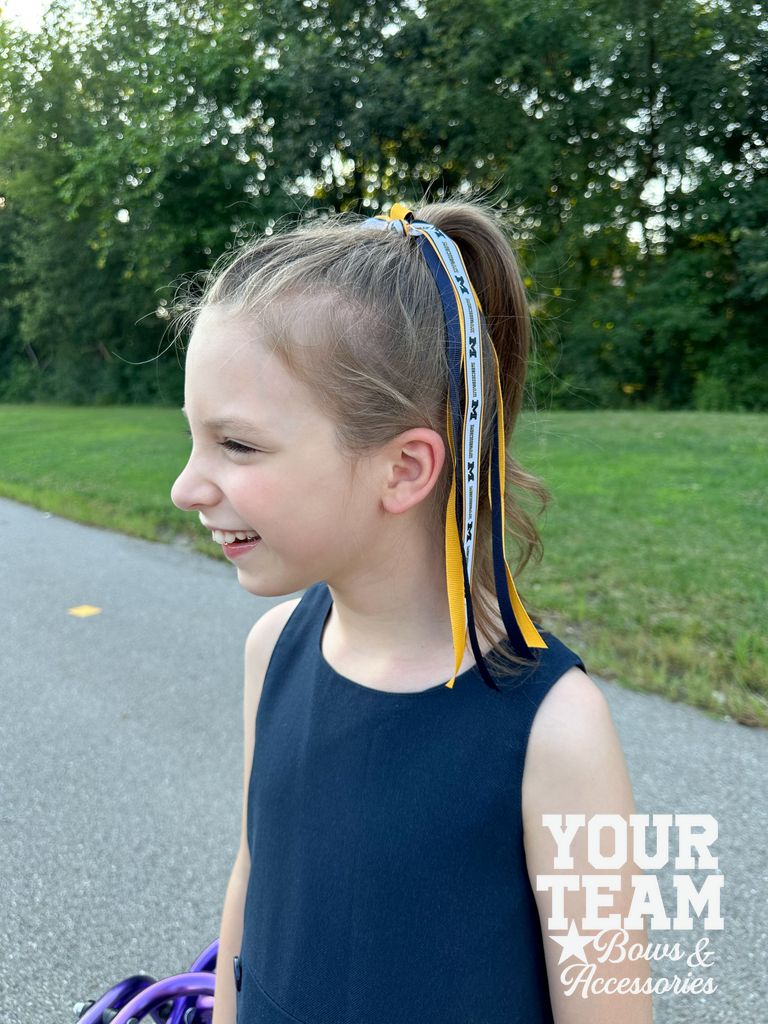 Collegiate Signature Logo Print Streamer Pony