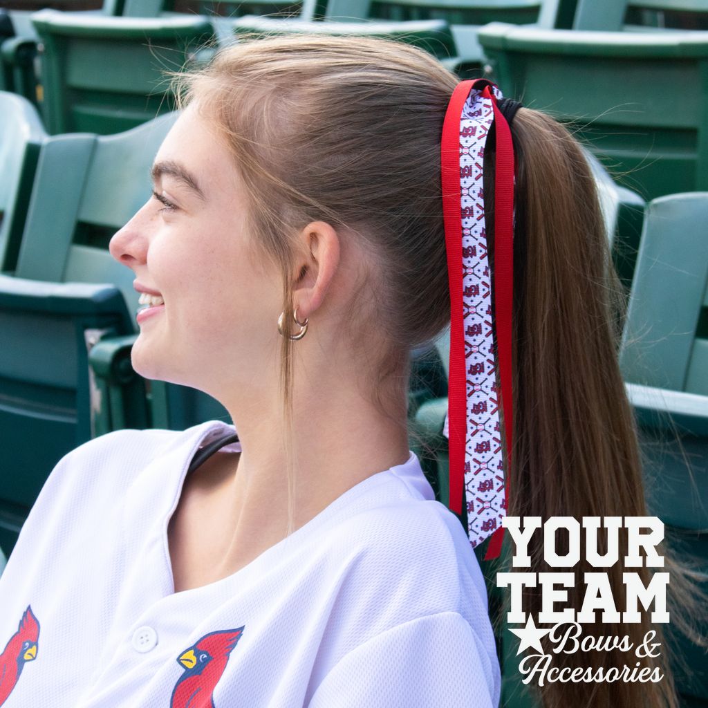 Arizona Diamondbacks Logo Print Streamer Pony