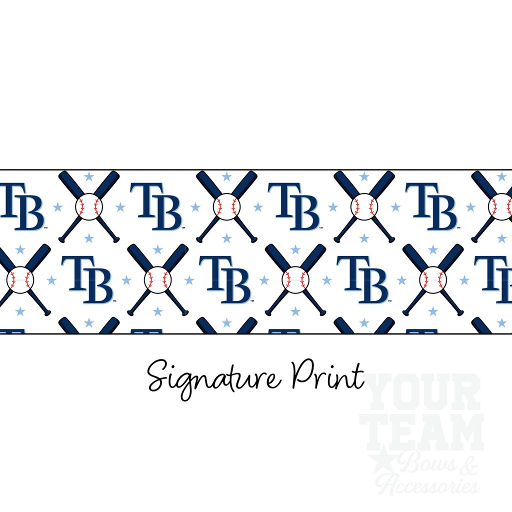 Tampa Bay Rays Logo Print Streamer Pony