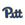 Collegiate Signature Logo Print Streamer Pony