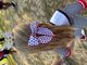Medium Americana Stars Printed Bowtie with Twisted Wrap and Whimsy Tails


