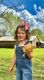 King Farm-themed Grograin Chicken Print Hair Bow

