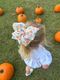 King Harvest Print Grosgrain Hair Bow