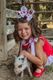 King Farm Print Grosgrain Hair Bow
