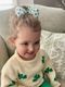 Medium Shamrock Print Grosgrain Hair Bow