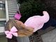 Medium Satin Plush-Filled Hair Bow