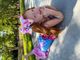 King Princess Print Grosgrain Hair Bow