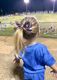 Medium Grosgrain Football Print Hair Bow