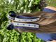 Large Michigan Logo Ribbon Underlay Hair Bow with Streamer Tails