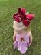 King Grosgrain Hair Bow with Moonstitch Edge and Embroidered Collegiate Logo