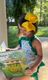 King Classic Grosgrain Hair Bow (Knot Wrap)