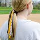 Arizona Diamondbacks Logo Print Streamer Pony