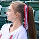 Arizona Diamondbacks Logo Print Streamer Pony