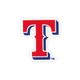 King Texas Rangers Baseball Stitch Print Hair Bow with Badge