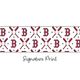 Boston Red Sox Logo Print Streamer Pony